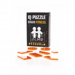 IQ Puzzle „Gemeni”