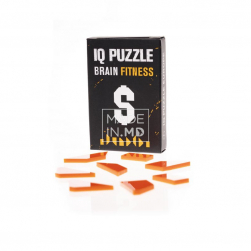 IQ Puzzle „Semnul dolarului”